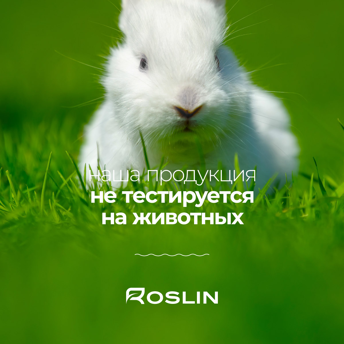 Крем воск для ног Roslin "Салонный уход" 100 мл, от сухости и трещин, с маслами и пчелиным воском, 1 шт.
Крем воск для ног Roslin "Салонный уход" 100 мл, от сухости и трещин, с маслами и пчелиным воском, 1 шт.