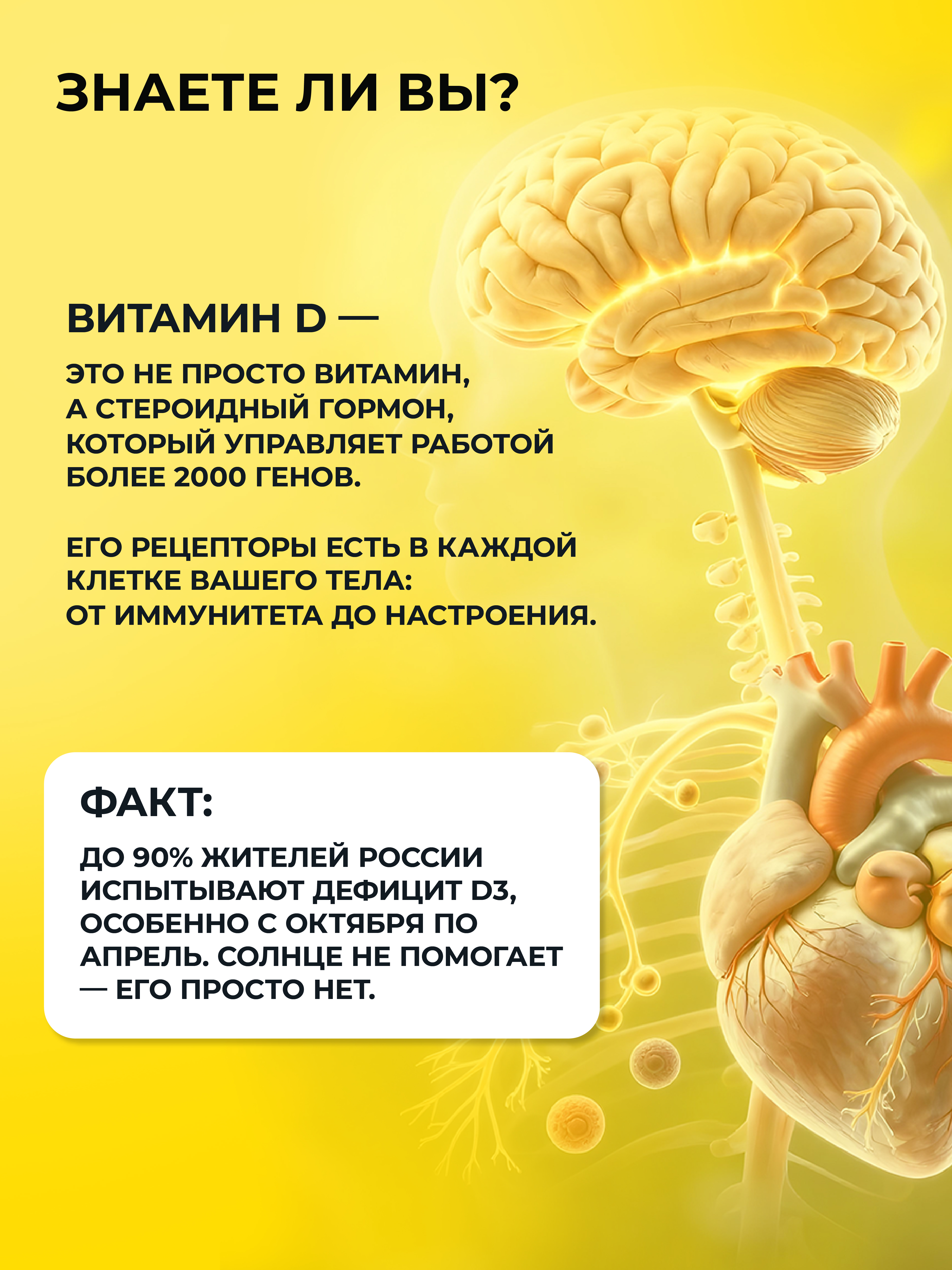 Витамин D3 600МЕ (холекальциферол), для иммунитета, ENBIO, 200 капсул
Витамин D3 600МЕ (холекальциферол), для иммунитета, ENBIO, 200 капсул