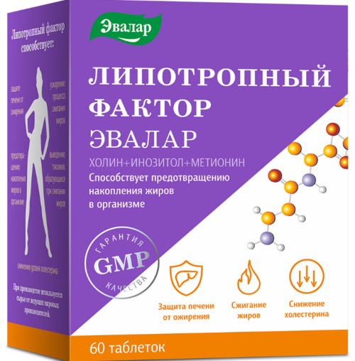 

Липотропный фактор, 60 шт, таблетки