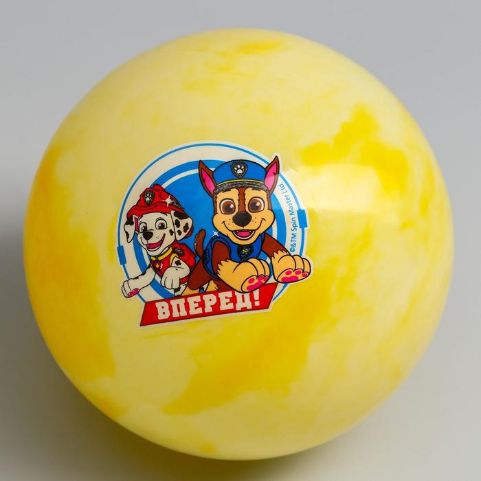 

Мяч детский Paw Patrol Вперед 16 см 60 г мрамор МИКС