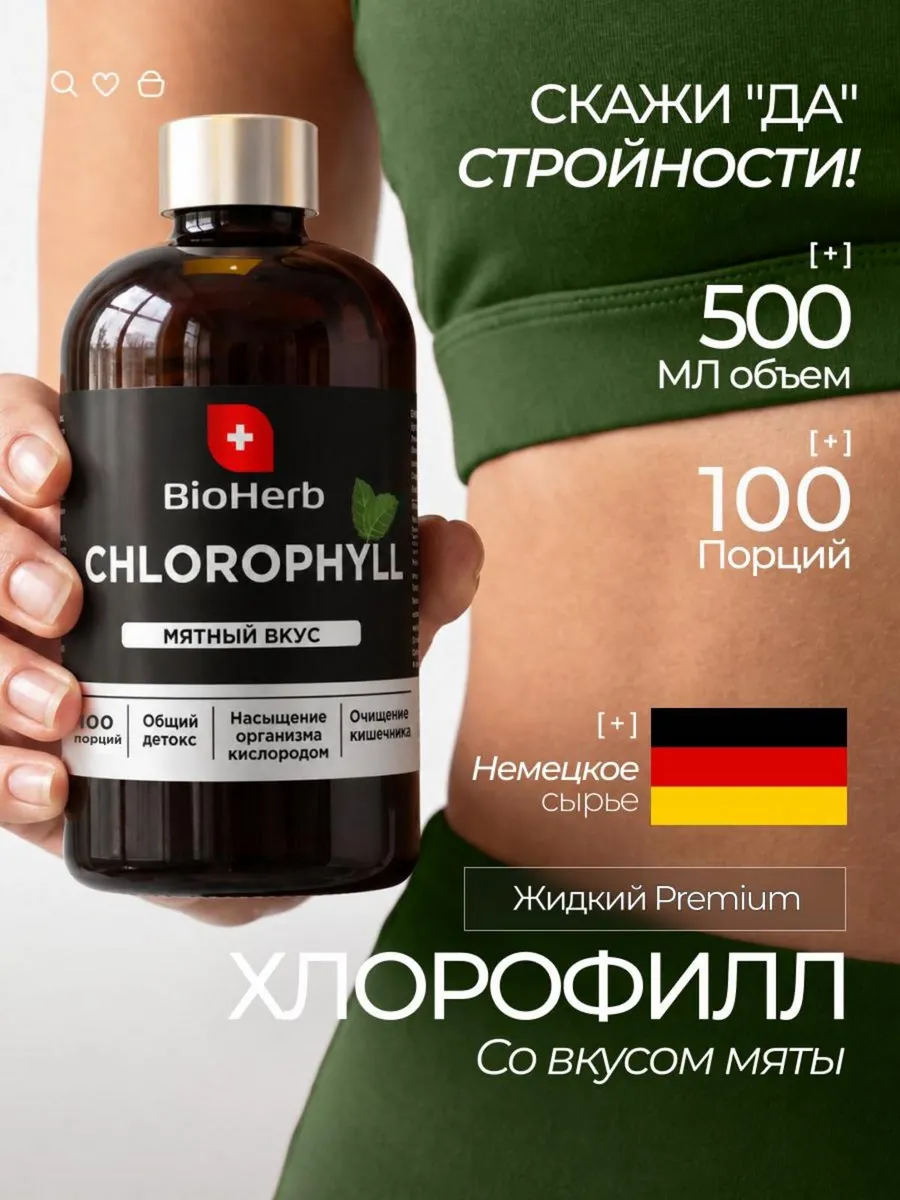 BH Хлорофилл 500мл 100порц