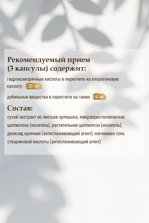 Артишок, 60 шт, капсулы