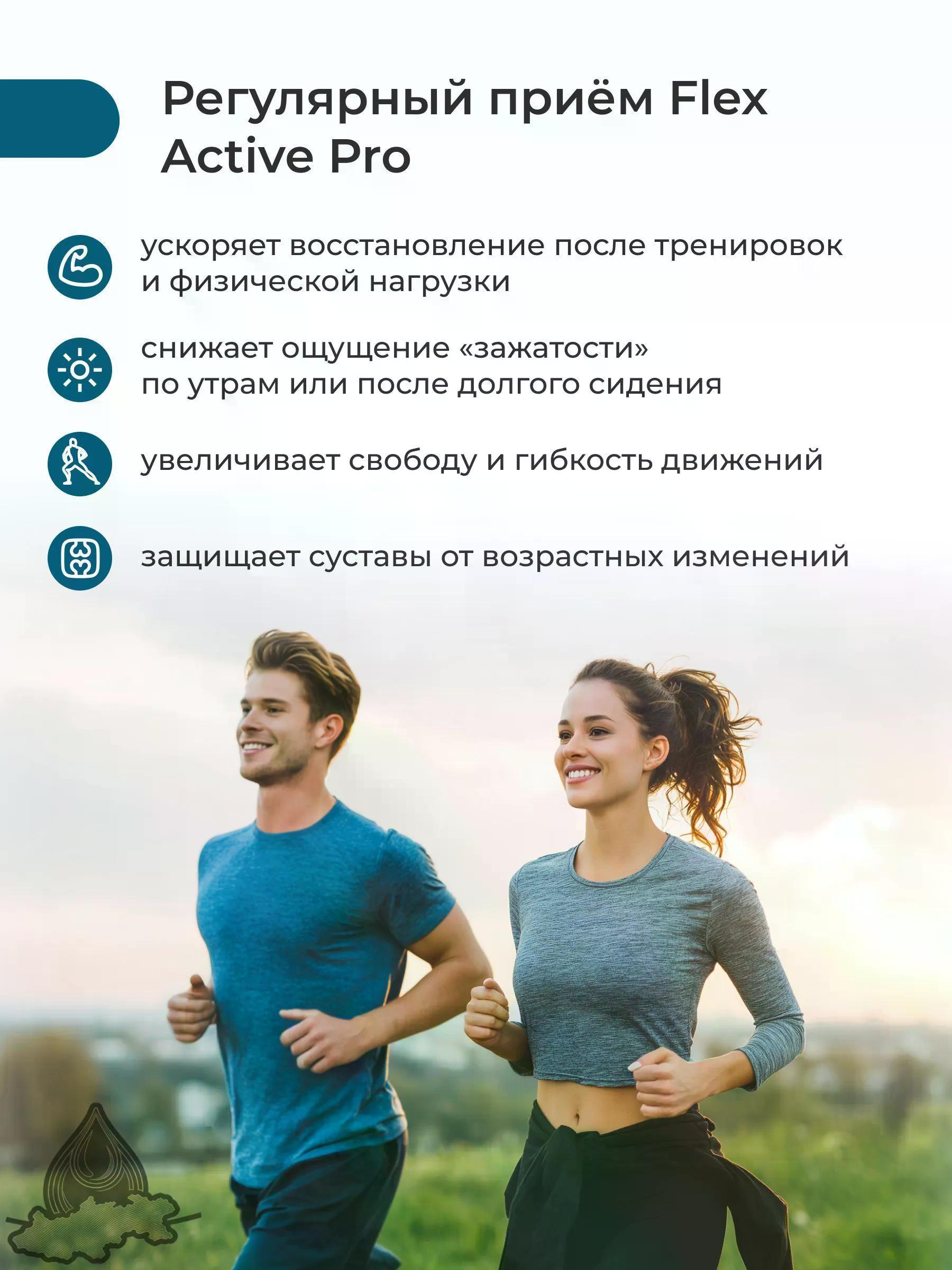 Nooteria Labs Пищевая добавка Flex Active Pro 20 порций, порошок в банке 200 г.