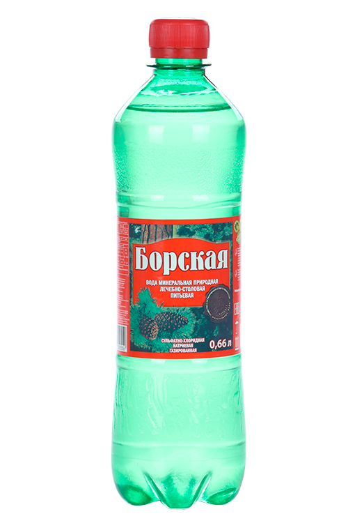 

Вода мин Борская, 0,66 л, пластик газ