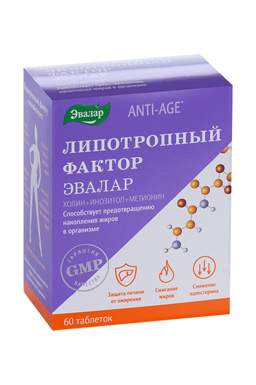 

Липотропный фактор, 60 шт, таблетки