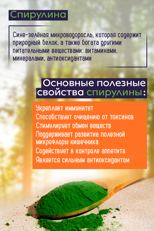 

Спирулина Ноу 500 мг, 100 шт, таблетки