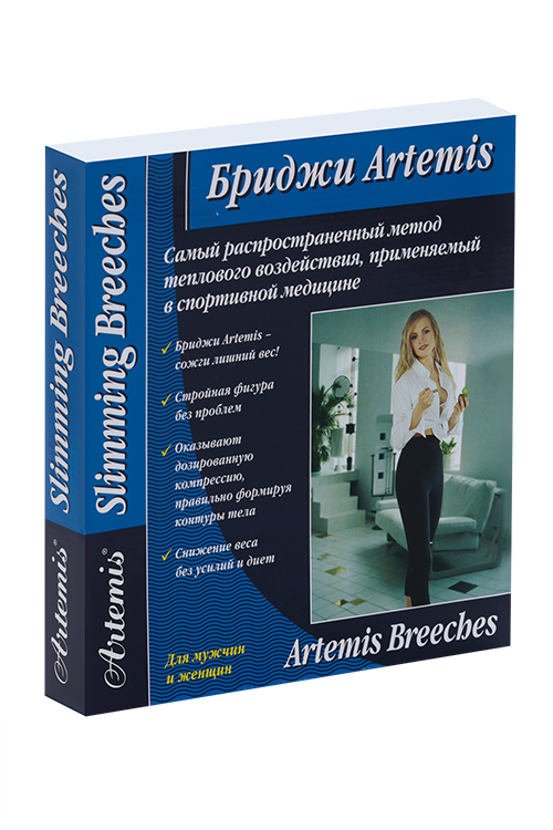 

Бриджи Артемис L, черный