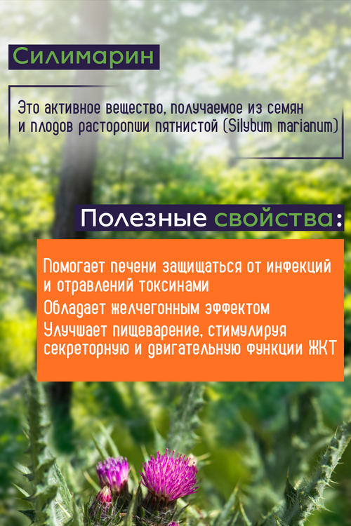 

Силимарин (Milk Thistle) 240 мг NOW, 50 капсул массой 580 мг (4738)