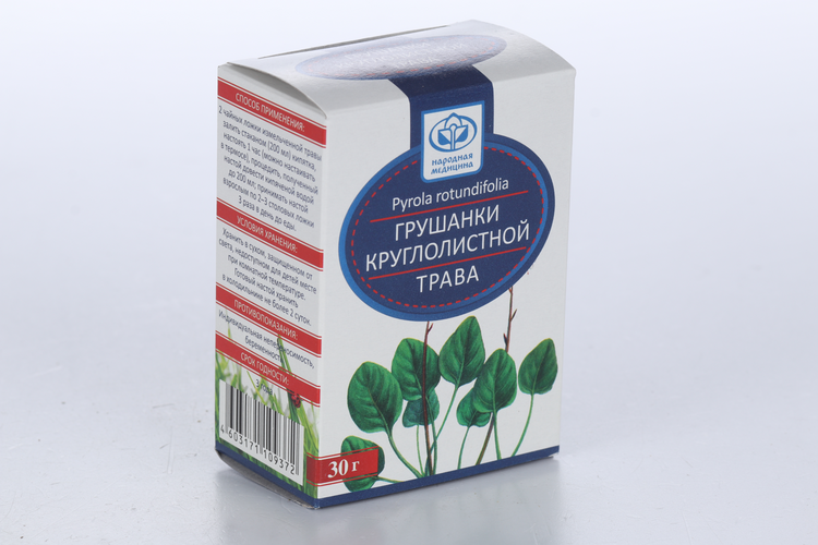 Трава Грушанка Фото