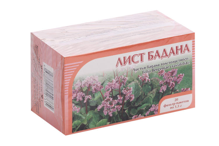 Бадана толстолистного листья, 1,5 г, 20 шт, ф/п Пищ