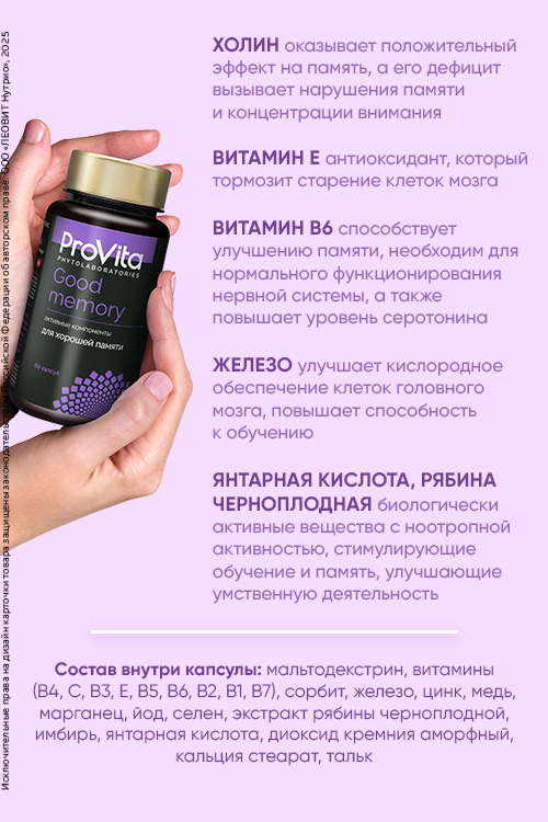 

PROVITA БАД «Витаминно-минеральный комплекс «GOOD MEMORY S.A.» 60 капсул по 0.5 г., ЛЕОВИТ