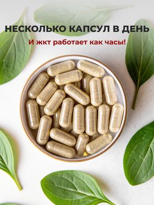 VeganNova Псиллиум (шелуха семян подорожника индийского), 120 капсул