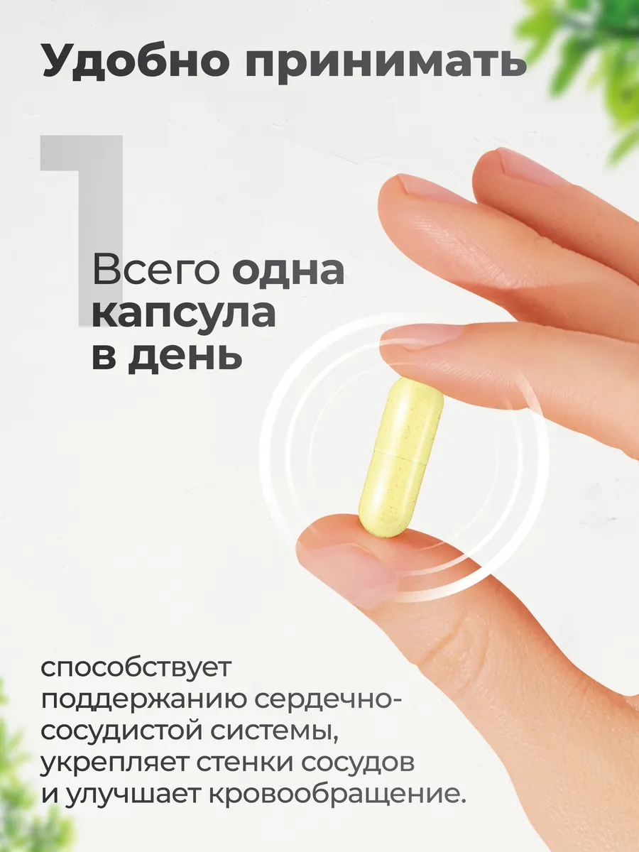 Рутин 100 мг, для сердца и сосудов, 180 капсул, VitaMeal
