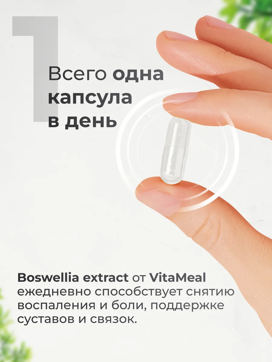 Экстракт босвеллии 500 мг, для суставов и связок,90 капсул,VitaMeal