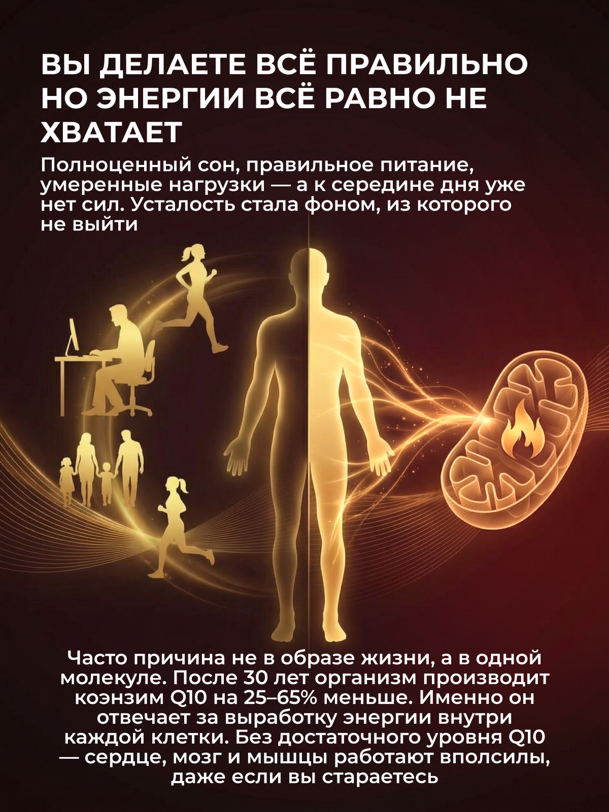 Сoenzyme Коэнзим Q10 (Убихинон) 100 мг, ENBIO, 60 капсул