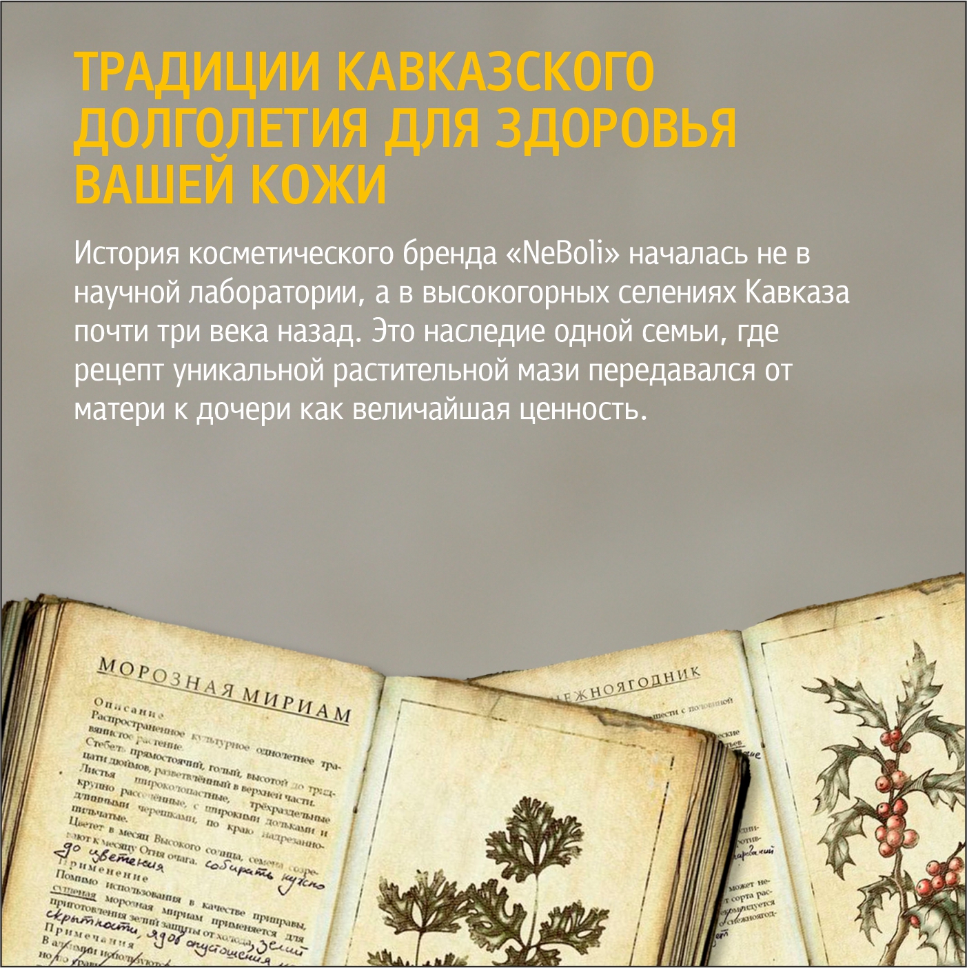Мазь натуральная от псориаза NeBoli ЭкстраПсори, 30мл